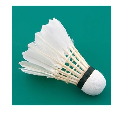 Badminton Shuttlecock Manufacturers Exporter in Mumbai India